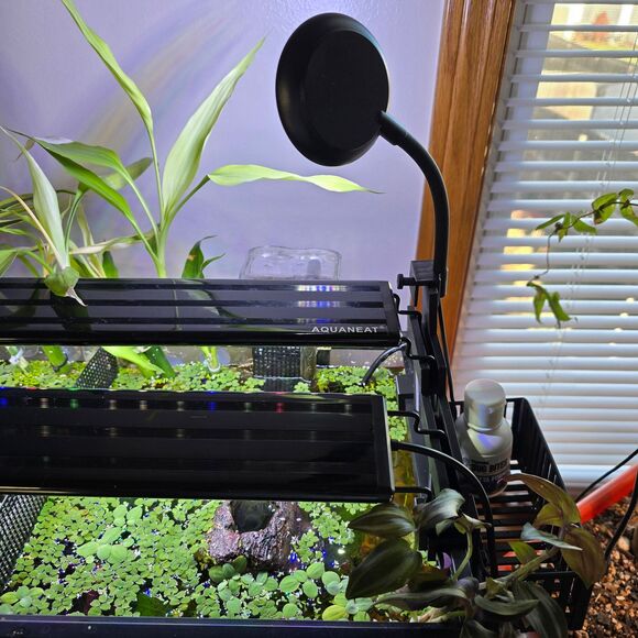 Aqua Hydroponic Aquarium KIT Staggered Light Risers Water Purifying Baskets Pots - Picture 8 of 11